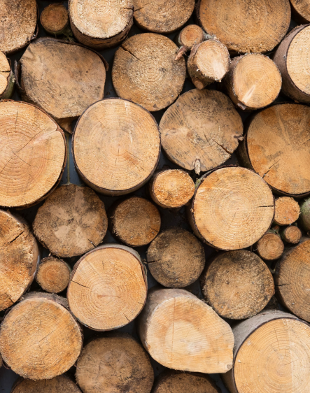 Logging & Forestry