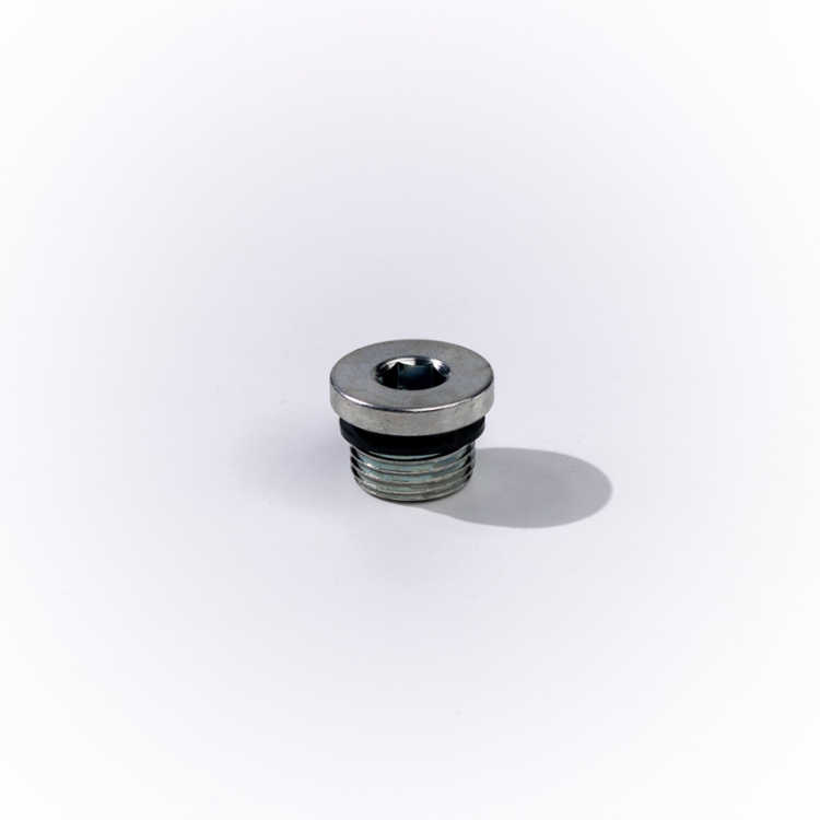 06MBSPP HOLLOW HEX PLUG