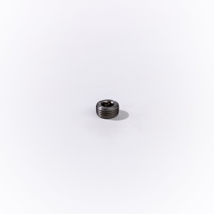 12MBSPT HOLLOW HEX PLUG