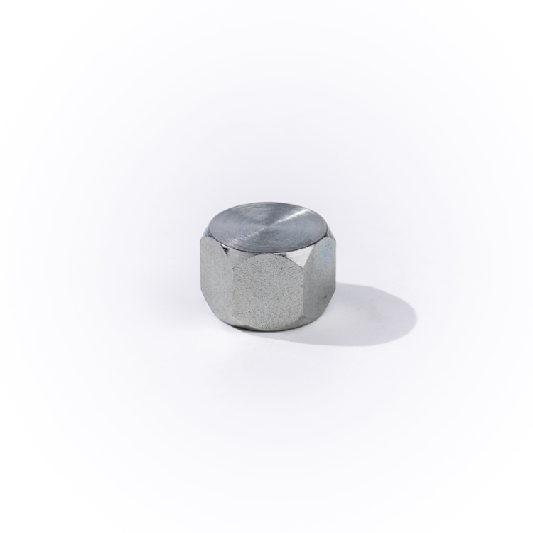 16FJ CAP-SS - Image 2