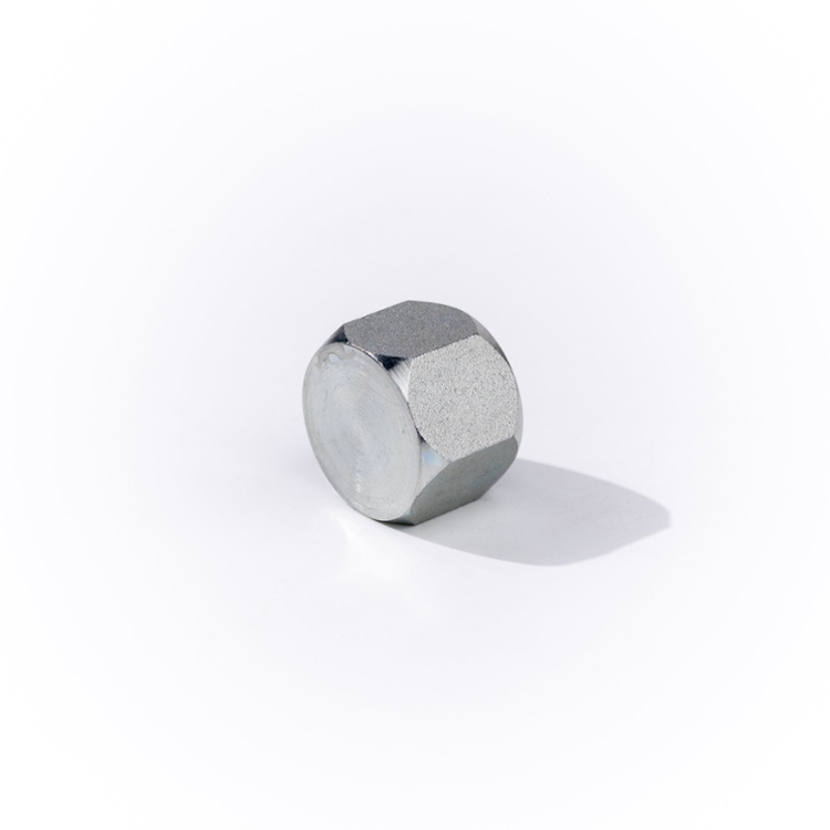 16FJ CAP-SS - Image 3