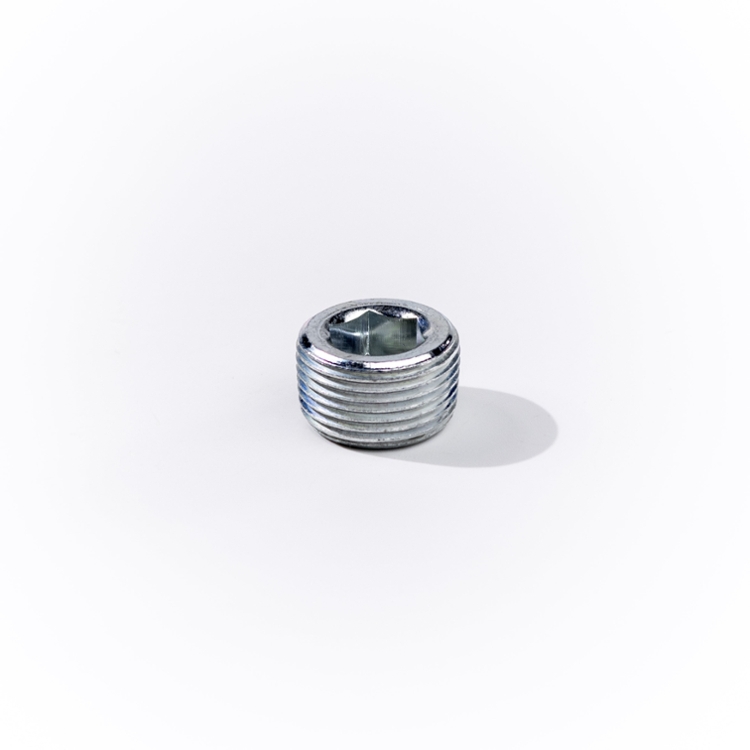 12MP HOLLOW HEX PLUG-SS
