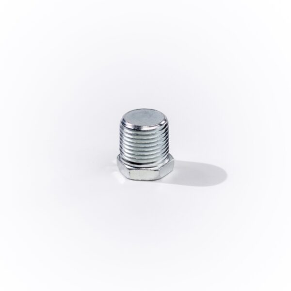 12MP HEX HEAD PLUG-SS
