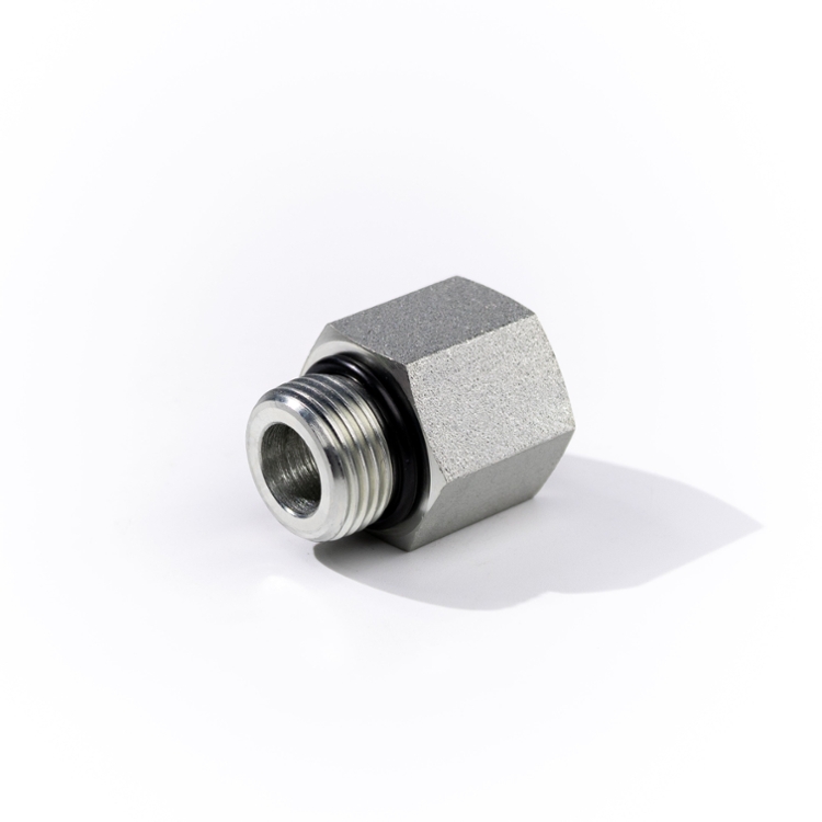 24MOR-24FP-SS - Image 2