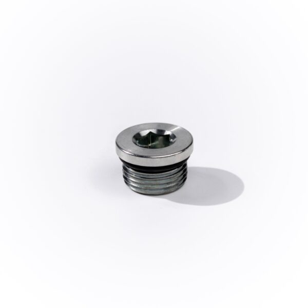 12MOR HOLLOW HEX PLUG-SS